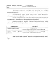 Bankų finansinė analizė darbas 17 puslapis