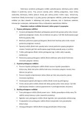 Bankų finansinė analizė darbas 19 puslapis