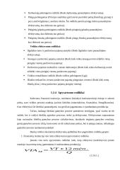 Bankų finansinė analizė darbas 20 puslapis