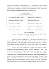 Bankų finansinė analizė darbas 5 puslapis