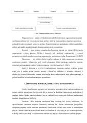 Bankų finansinė analizė darbas 8 puslapis