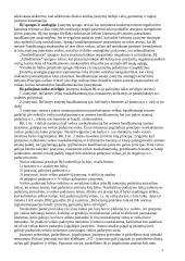 Baudžiamosios teisės konspektas 3 puslapis