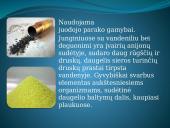 Siera (S) 3 puslapis