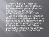 Nyčės filosofija pristatymas 13 puslapis