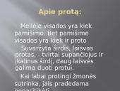 Nyčės filosofija pristatymas 16 puslapis