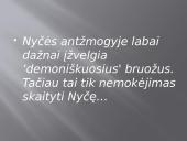 Nyčės filosofija pristatymas 10 puslapis