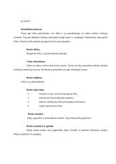 Lėšos ir jų panaudojimas verslo įmonėje 2 puslapis