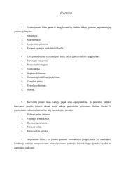 Lėšos ir jų panaudojimas verslo įmonėje 12 puslapis