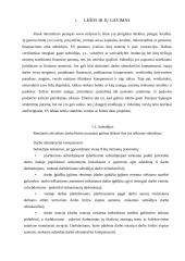 Lėšos ir jų panaudojimas verslo įmonėje 3 puslapis