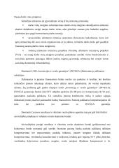 Lėšos ir jų panaudojimas verslo įmonėje 4 puslapis