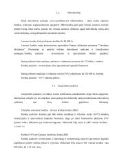 Lėšos ir jų panaudojimas verslo įmonėje 5 puslapis