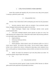 Lėšos ir jų panaudojimas verslo įmonėje 8 puslapis