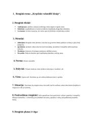 Išplėstinis renginio planas 2 puslapis