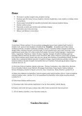 Išplėstinis renginio planas 3 puslapis