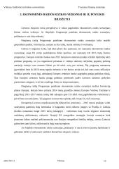 Tvarumo finansų sistemoje esmė 12 puslapis