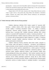 Tvarumo finansų sistemoje esmė 17 puslapis