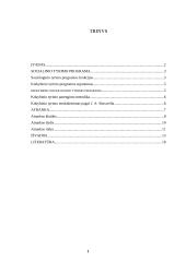 Socialinio tyrimo programa. Atrankos 2 puslapis