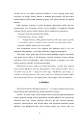 Socialinio tyrimo programa. Atrankos 8 puslapis