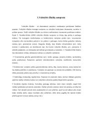 Valstybės išlaidų samprata, struktūra ir pokyčiai Lietuvoje 2000-2015 metais. Makroekonomikos referatas 4 puslapis