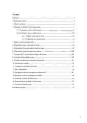 Plieninių konstrukcijų projektavimas 2 puslapis