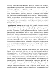 Šiuolaikinės informacijos technologijos praktikoje. Logistike informacinės sistemos kokybės reikalavimai 12 puslapis