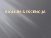 Bioliumenescencija
