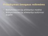 Bioliumenescencija 13 puslapis