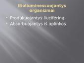 Bioliumenescencija 3 puslapis