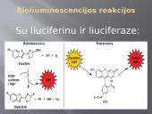 Bioliumenescencija 8 puslapis