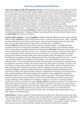 Privalomų autorių konspektas abiturientui 2 puslapis