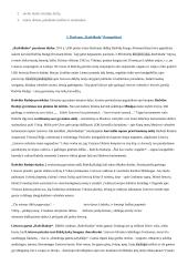 Privalomų autorių konspektas abiturientui 11 puslapis