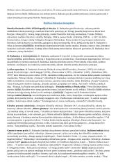 Privalomų autorių konspektas abiturientui 12 puslapis