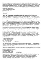 Privalomų autorių konspektas abiturientui 16 puslapis