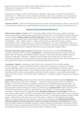 Privalomų autorių konspektas abiturientui 19 puslapis