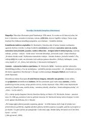 Privalomų autorių konspektas abiturientui 20 puslapis