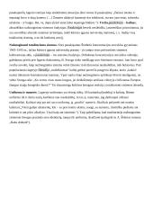 Privalomų autorių konspektas abiturientui 4 puslapis