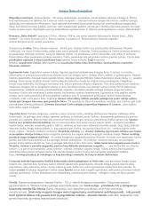 Privalomų autorių konspektas abiturientui 5 puslapis