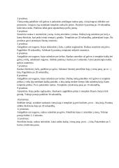 Smūgių rankomis technikos tobulinimas 4 puslapis