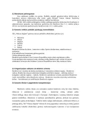 AB „Vilniaus degtinė“ vidinės ir išorinės aplinkos analizė 13 puslapis