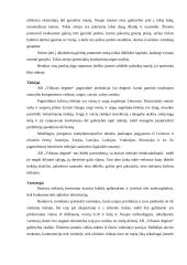 AB „Vilniaus degtinė“ vidinės ir išorinės aplinkos analizė 9 puslapis