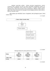 Verslo planas: medinių skydinių  namų projektavimas ir gamyba UAB "Namas visiems" 11 puslapis