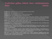 Dailės žanrų įvairovė 12 puslapis