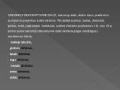 Dailės žanrų įvairovė 13 puslapis