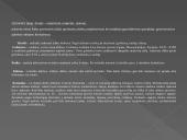 Dailės žanrų įvairovė 14 puslapis