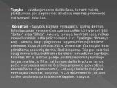 Dailės žanrų įvairovė 4 puslapis