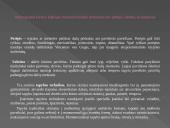 Dailės žanrų įvairovė 5 puslapis