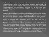 Dailės žanrų įvairovė 6 puslapis