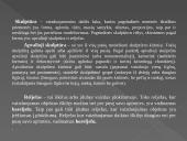 Dailės žanrų įvairovė 10 puslapis