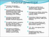 Australija skaidrės 11 puslapis