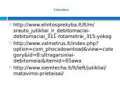 Debitomačių tipai ir veikimo principas 15 puslapis